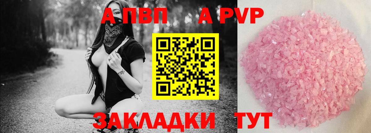 A PVP СК КРИС Сунжа