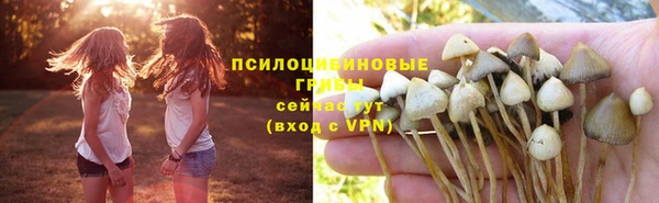 мескалин Магадан