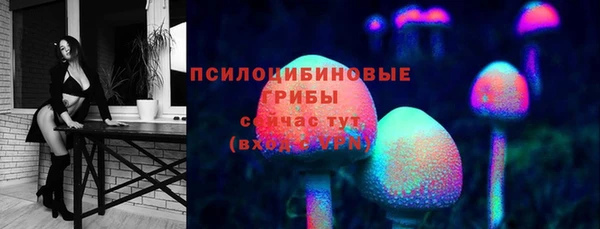 спайс Магас
