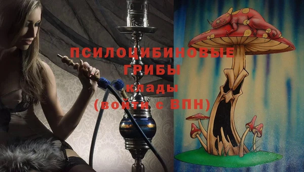 спайс Магас