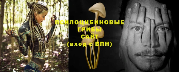 спайс Магас