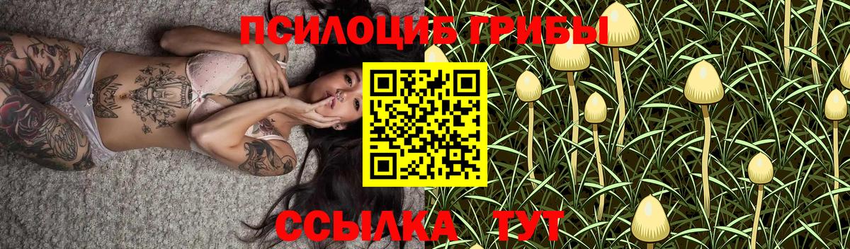 Псилоцибиновые грибы прущие грибы Сунжа