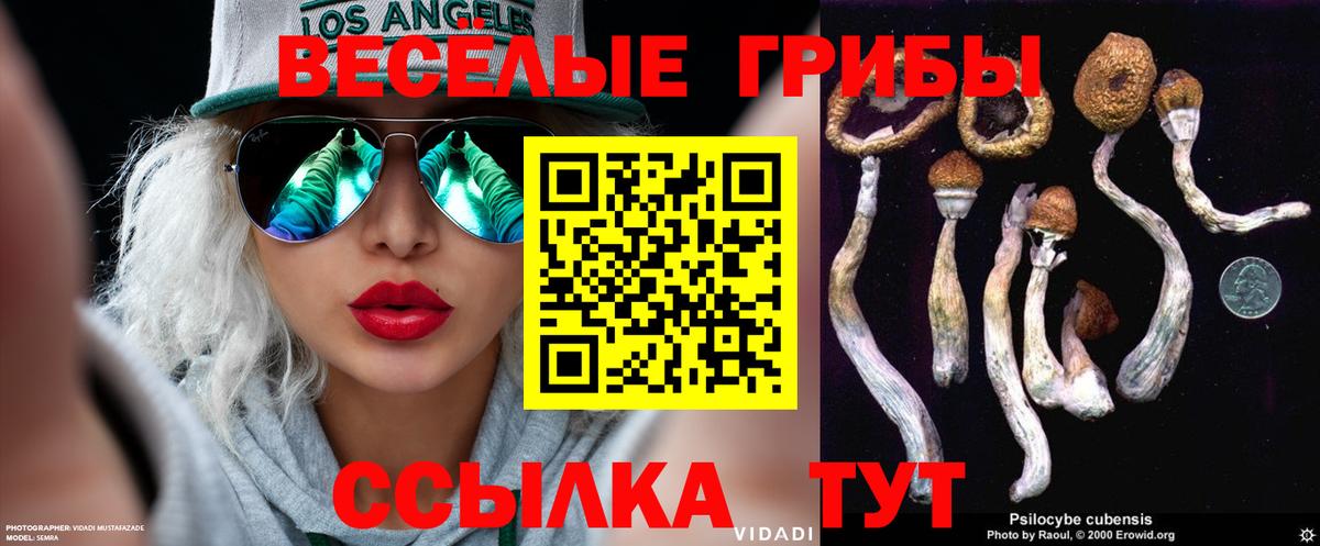 Галлюциногенные грибы Cubensis  Сунжа 