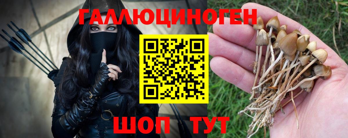 Галлюциногенные грибы Psilocybine cubensis  Вход с VPN  Сунжа  Галлюциногенные грибы мухоморы 